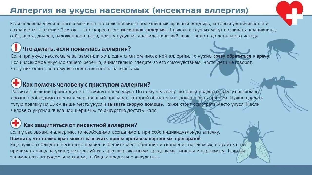 Какие инфекции передаются через укусы кровососущих насекомых. Аллергия на укус насек. Аллергическая реакция на укус насе. Укусы насекомых симптомы. Аллергическая реакция на осу.