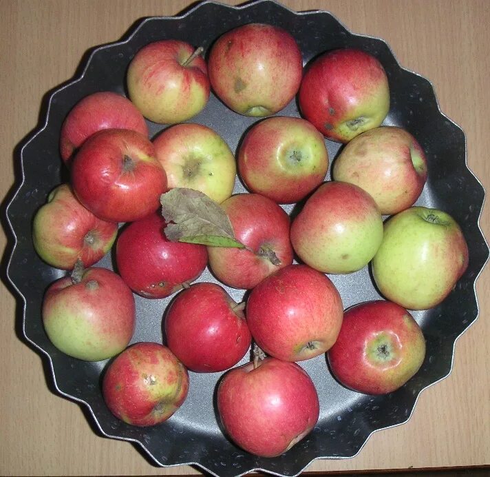 Можно ли из семечка яблока вырастить яблоню. Семена яблони. Яблоки растут. Росток яблони. Семя яблока.