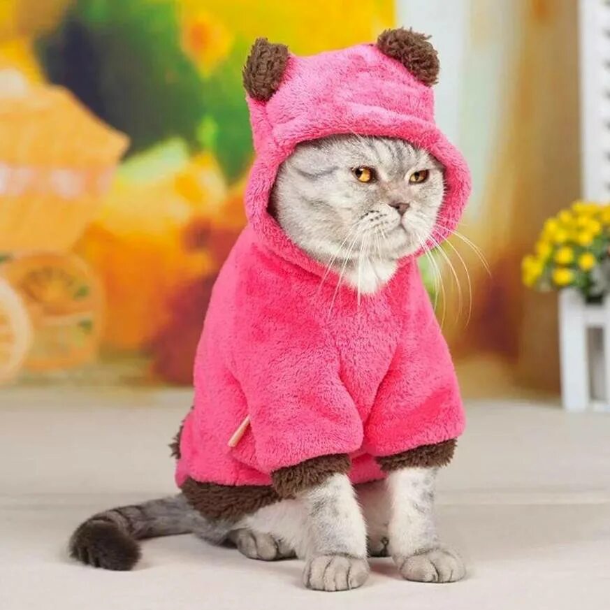 Кошка одевается