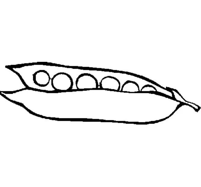 Горох карандашом. Горох раскраска. Горох раскраска для детей. Стручок гороха раскраска. Зеленый горошек раскраска.