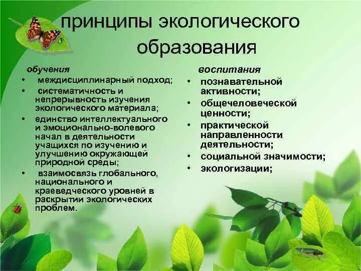 Что является экологическим результатом. Экологическое образование. Принципы экологического образования. Экологическое образование дошкольников. Принципы воспитания экология.