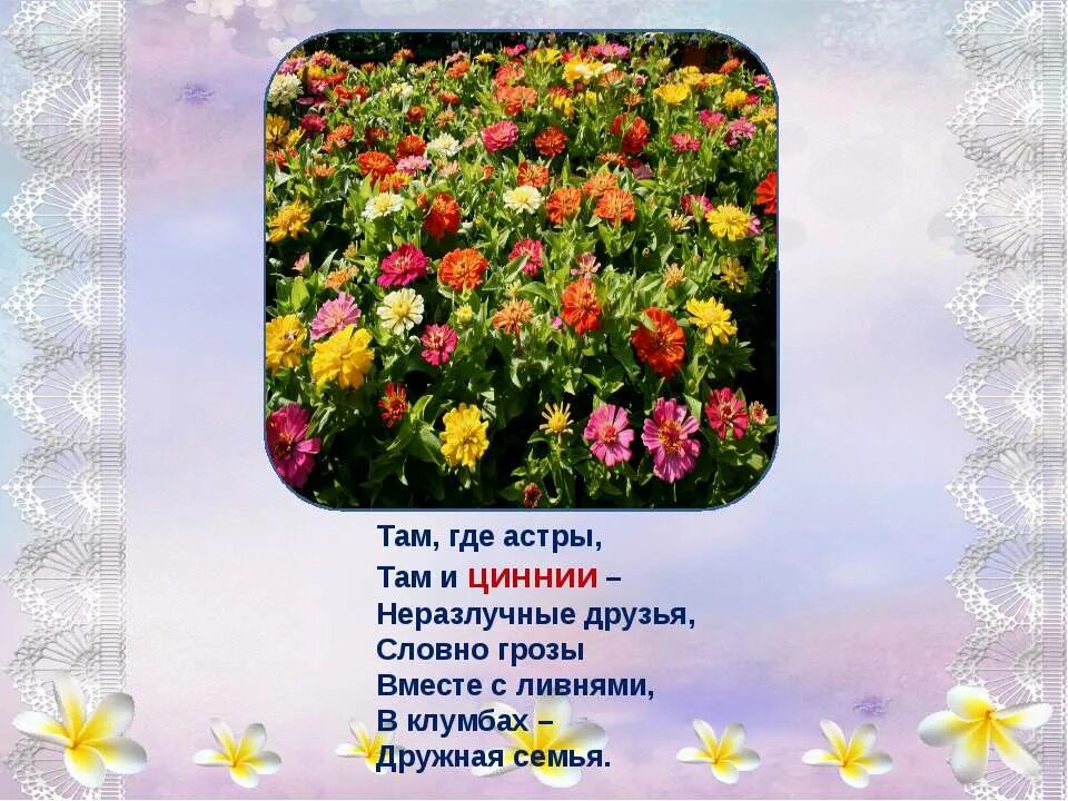 значение слов клумбы. клумба для презентации. рабатка чертеж. значение слов клумбы. значение слов клумбы.