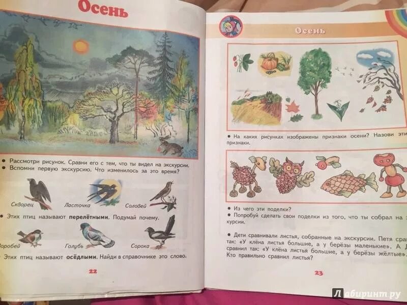 Окружающий мир 1 класс учебник стр 13. Окружающий мир ивченкова 1 класс. окружающий мир 1 класс ивченкова потапов. ивченкова потапов окружающий мир 1 класс учебник. окружающий мир 1 класс рабочая тетрадь 2 часть ивченкова потапов.