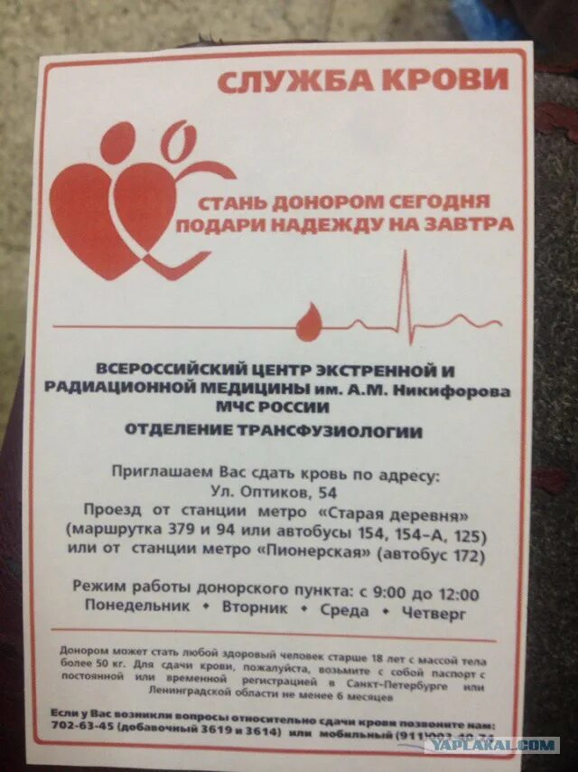 Характеристика донора. График сдачи крови. График сдачи крови для доноров. Периодичность сдачи крови донорами. Сколько стоит сдача крови.