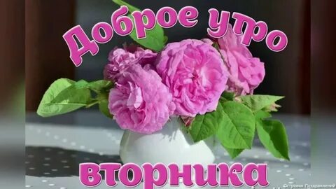 Открытки со вторником и с добрым