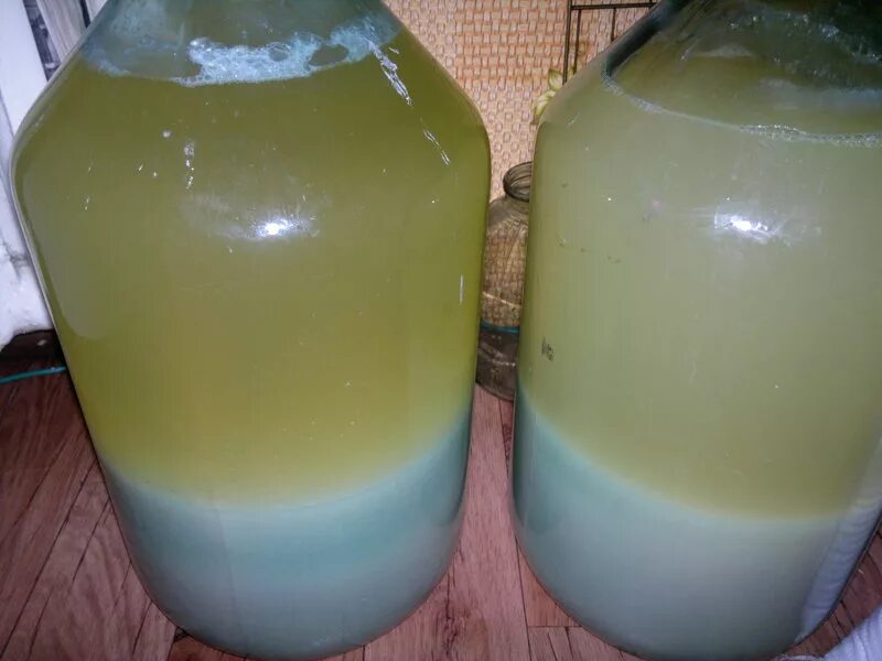 Прибор для определения готовности браги. Можно ли перегонять недобродившую сахарную брагу. Из чего можно сделать смазку дома. Готовность пшеничной браги. Бражка.