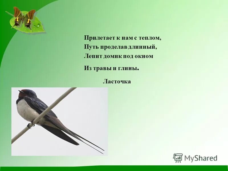 Загадка про ласточку. Прилетает к нам с теплом путь проделав. Прилетает к нам с теплом путь проделав длинный лепит. Прилетприлетает к нам с. теплом. Когда прилетают ласточки весной