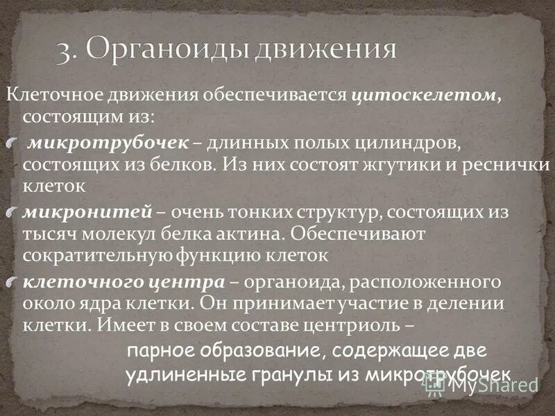 Что обеспечивает движение клетки. Функции микронитей. функции микронитей клетки. состав микронити.