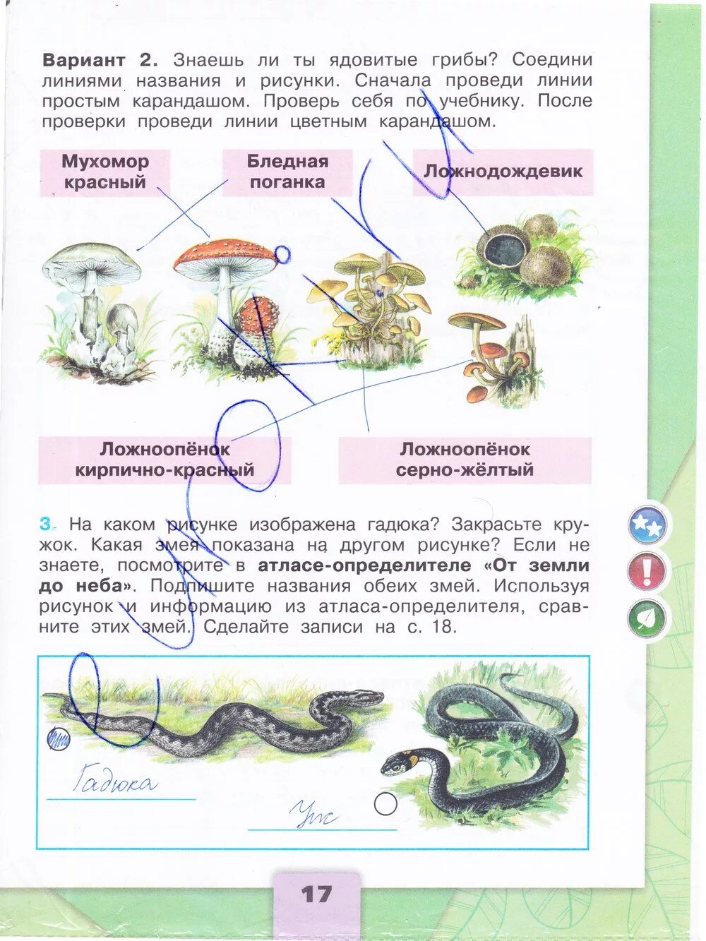 Третий класс окружающий мир тетрадка часть вторая. Окружающий мир Плешаков рабочая тетрадь 3 класс 2 часть страница. Окружающий мир 3 класс рабочая тетрадь 2 часть Плешаков стр 17. Окружающему миру 3 класс рабочая тетрадь 2 часть Плешаков. Рабочая тетрадь 3 класс часть 2 окружающий Плешаков страница.