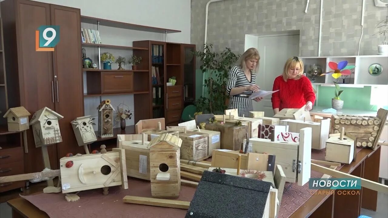 Эколого-биологический центр. Эколого-биологический центр псков. Центр эколого биологического образования. Дивный сад старый оскол. Проект беседки волкова стойленский гок.