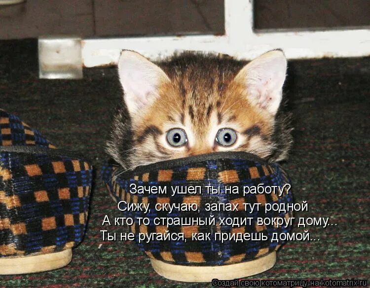 Сижу тоскую. Сижу скучаю. сижу скучаю на работе. вот сижу и скучаю. скучаю по дому.