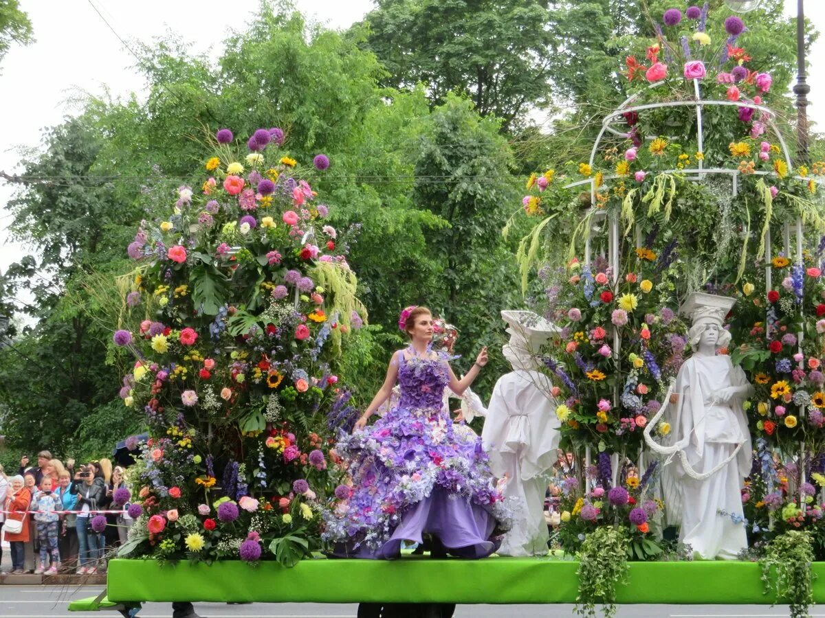 День фестиваля цветов. Фестиваль цветов в Санкт-Петербурге. Фестиваль цветов. Праздник цветов. Праздник цветов в СПБ.