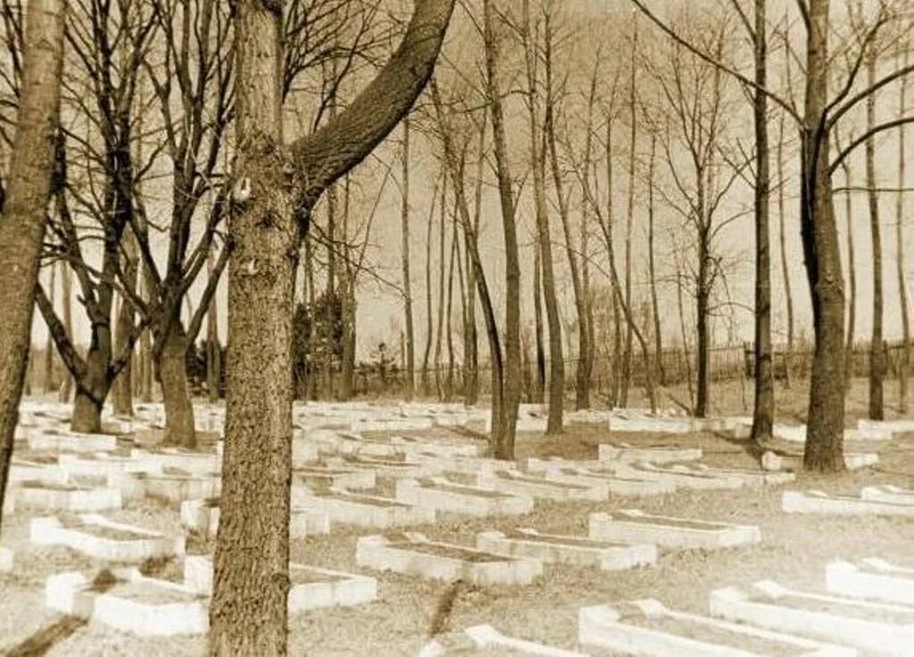 Японское находка. Японское кладбище в Находке. Кладбище японских военнопленных в Находке. Старое японское кладбище в Находке.