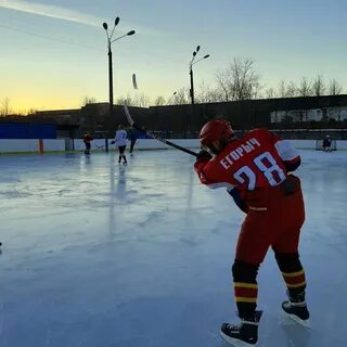 Залит 2017