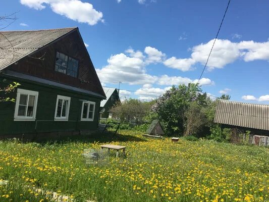 Рынок ягодками. Поселок матвейково 9 панорамные фото. Матвейково ягодка рынок. Ягодка матвейково. Ягодка матвейково.