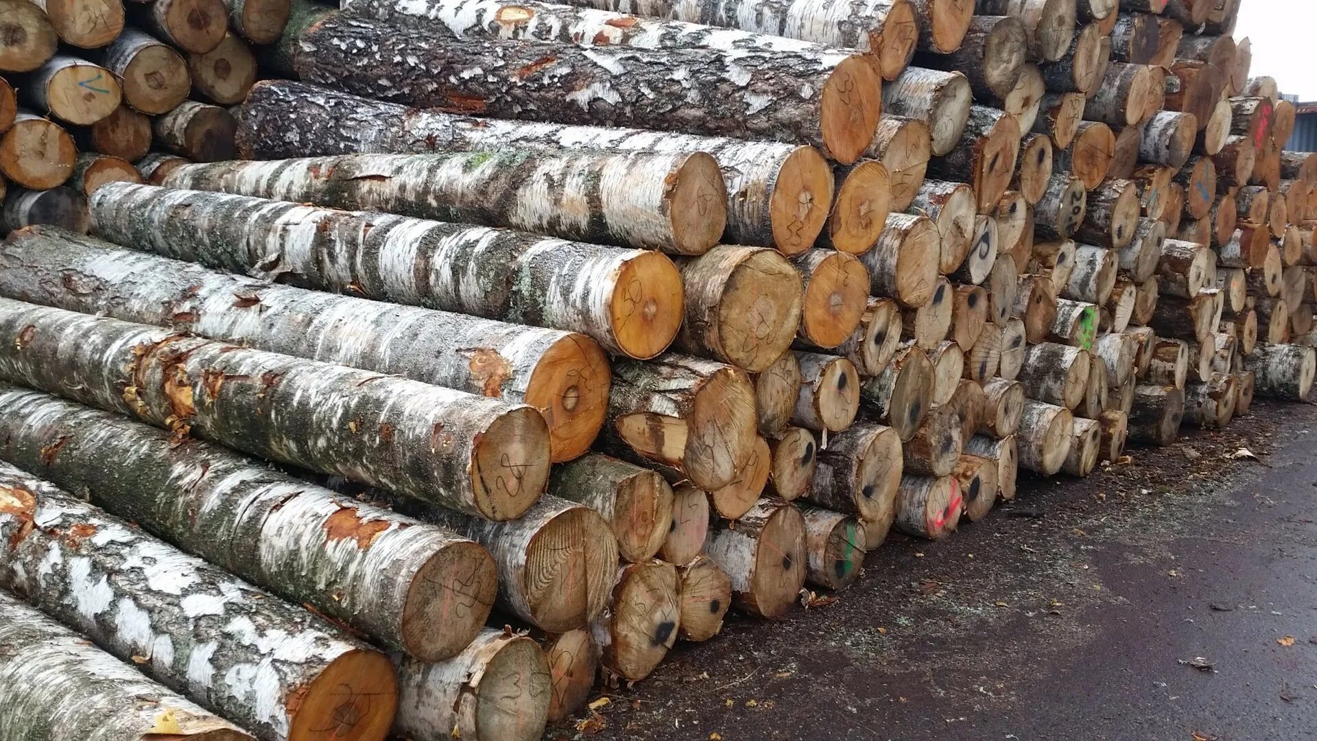 Дровяная береза кругляк. Фанкряж осина. Дрова кругляк дуб,береза. Береза фанкряж 1 сорт. Дрова кругляк.