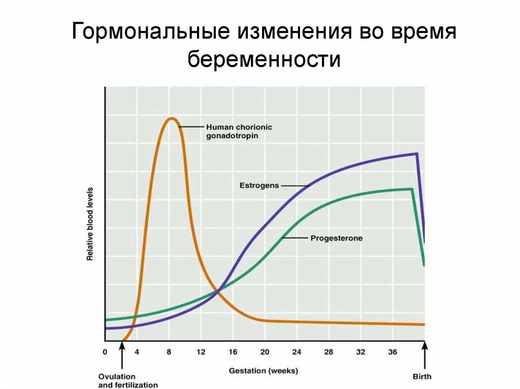 Гормоны после беременности. Гормоны в беременность график. Уровень гормонов у беременных. Беременность гормональный фон. Изменение гормонов при беременности.