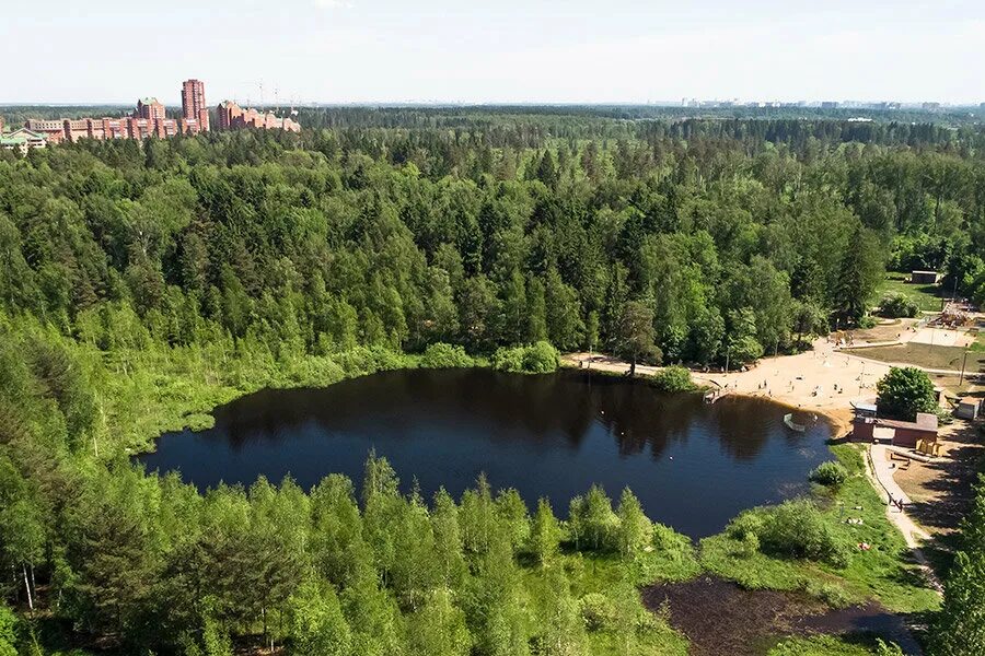 Озеро белое косино-ухтомский. Никольские озера поселение вороновское. Озеро чёрное московская область зеленоград. Озера новая москва. Озера новая москва.