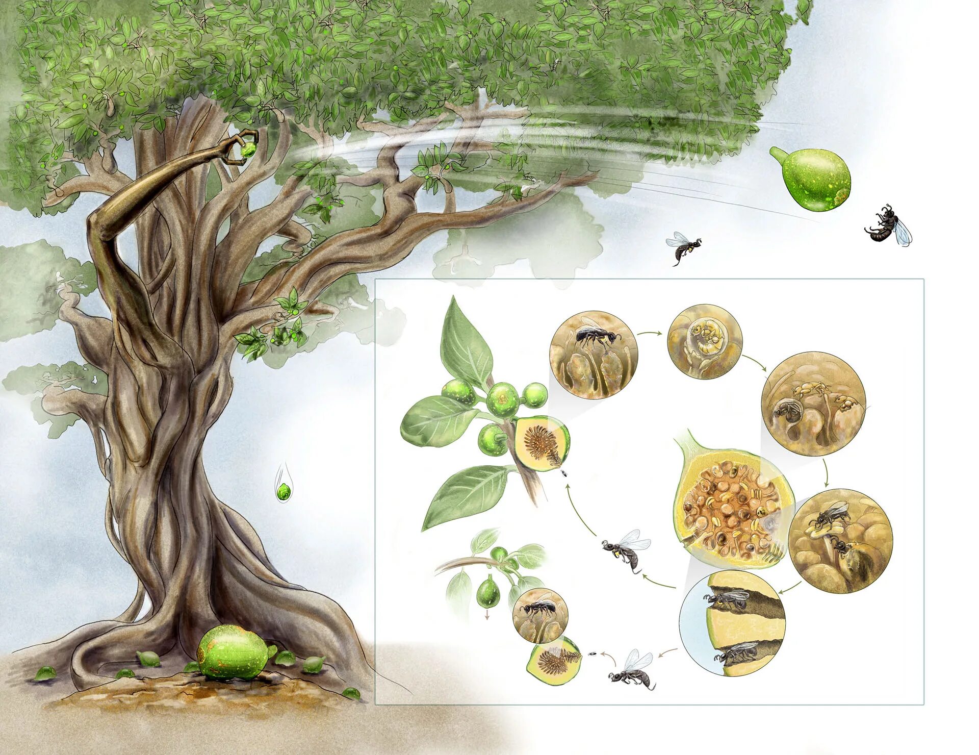 Natural science 2025