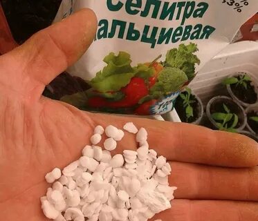 Селитра для рассады цветов