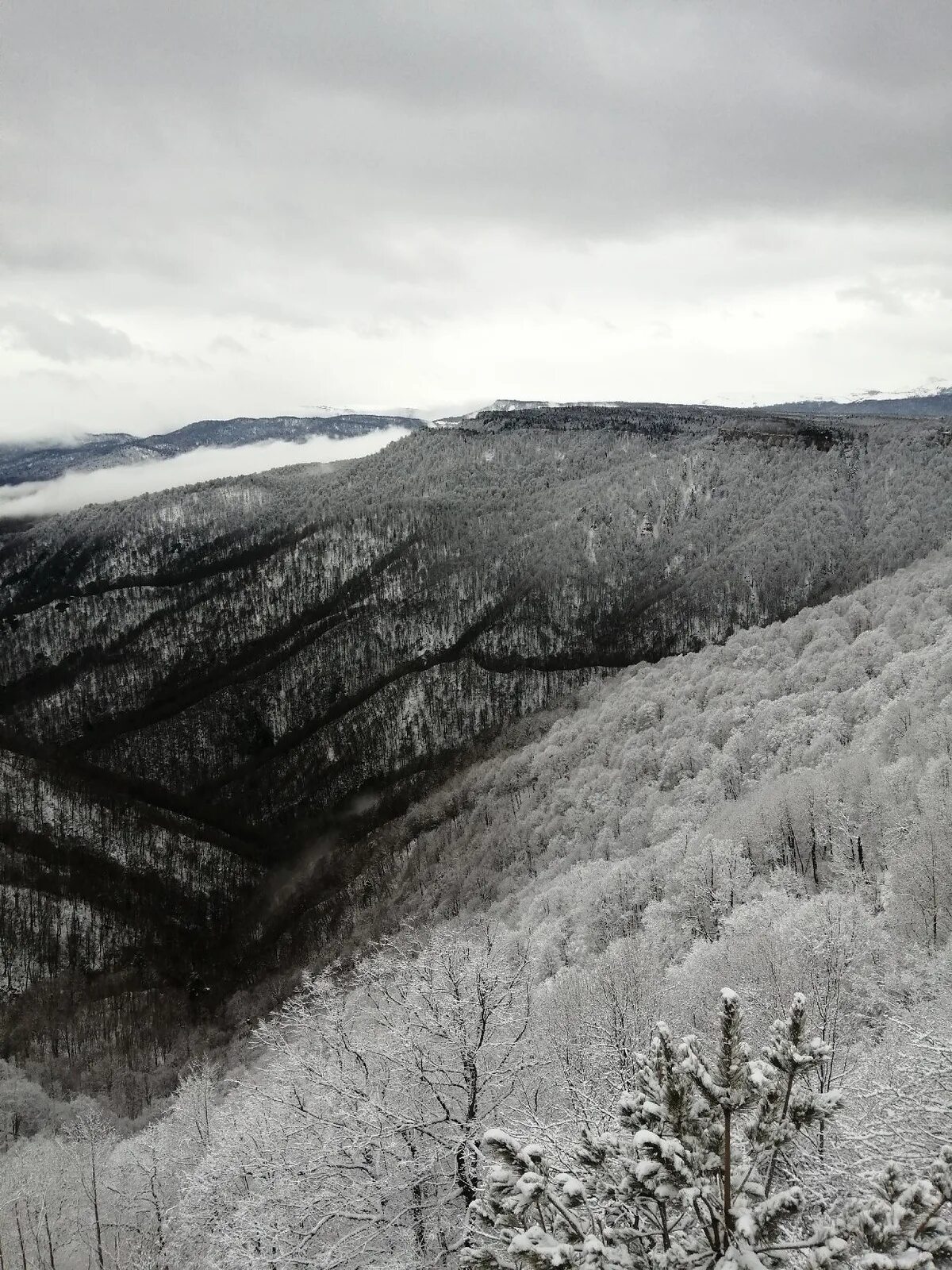 лагонаки лыжный курорт. плато лагонаки зимой. лаго наки зима катание. турбаза горная в адыгее зимой. зимние каникулы в адыгее.