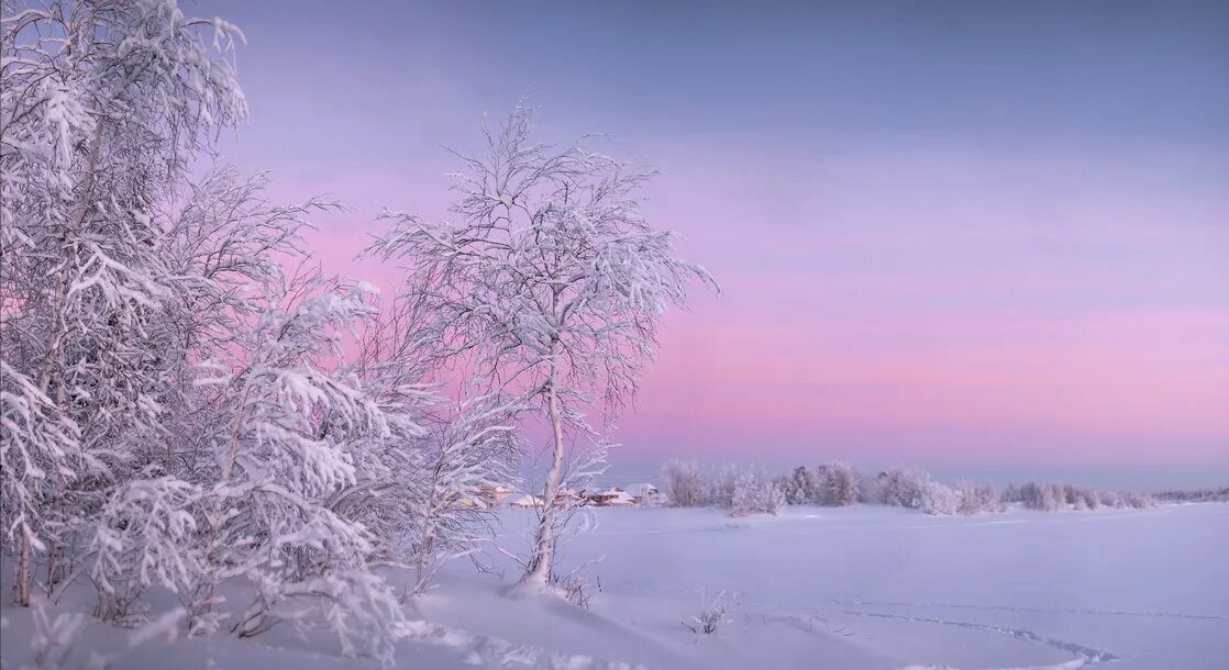 Розовый зимний рассвет. Февральский пейзаж. Нежный зимний пейзаж. Морозное утро.