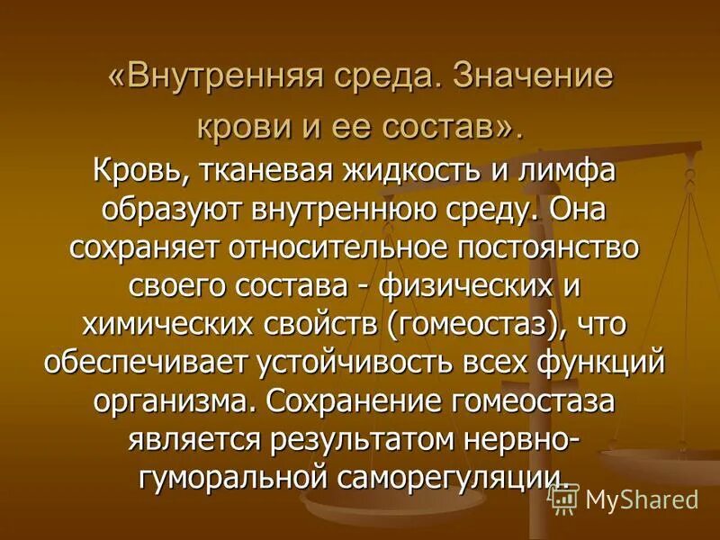 Что означает окружение. Значение среды. Что обозначает среда. Внутренняя среда организма состав и значение крови. Кто родился в среду что означает.