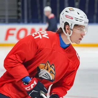 Хк металлург steel fox