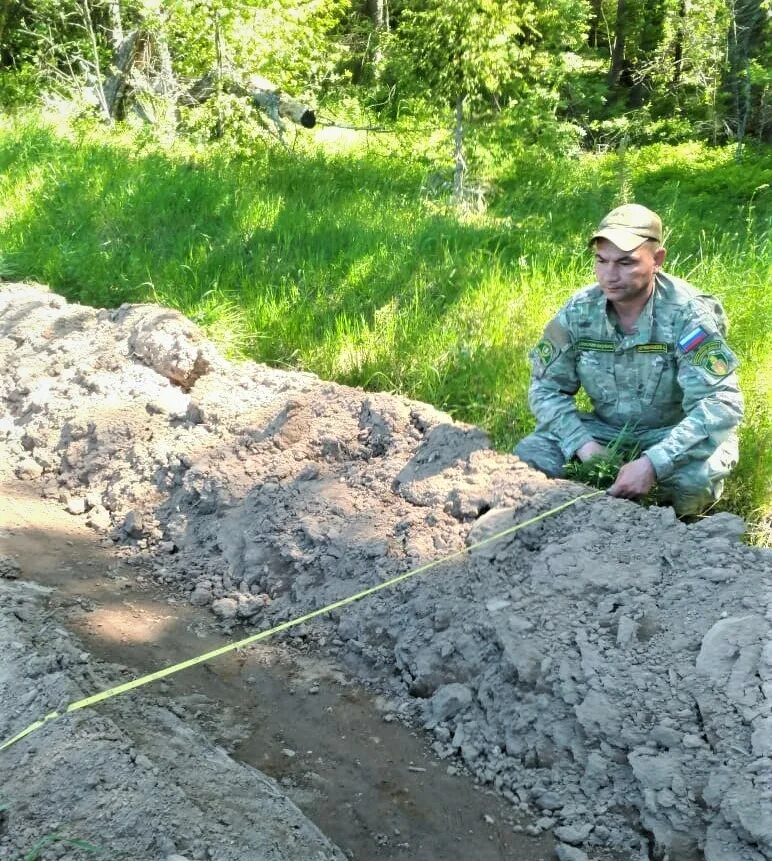 Устройство противопожарных минерализованных полос. Прочистка противопожарных минерализованных полос. Звенигородское лесничество Московской области. Минерализованная полоса противопожарная 2023. Риа 6