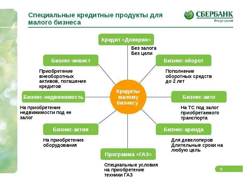 Пао сбербанк ип. Презентация банковских продуктов. Виды кредитных продуктов. Кредитные банковские продукты. Банковские продукты для малого бизнеса.