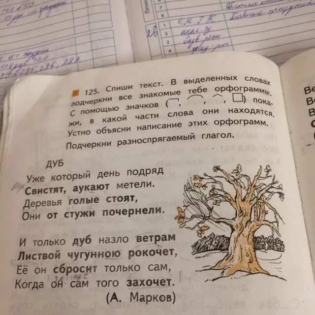 Береза списать текст. Спиши текст подчеркни. Выделенные слова это. Спиши текст в выделенных словах подчеркни. Текст с подчеркнутыми словами.