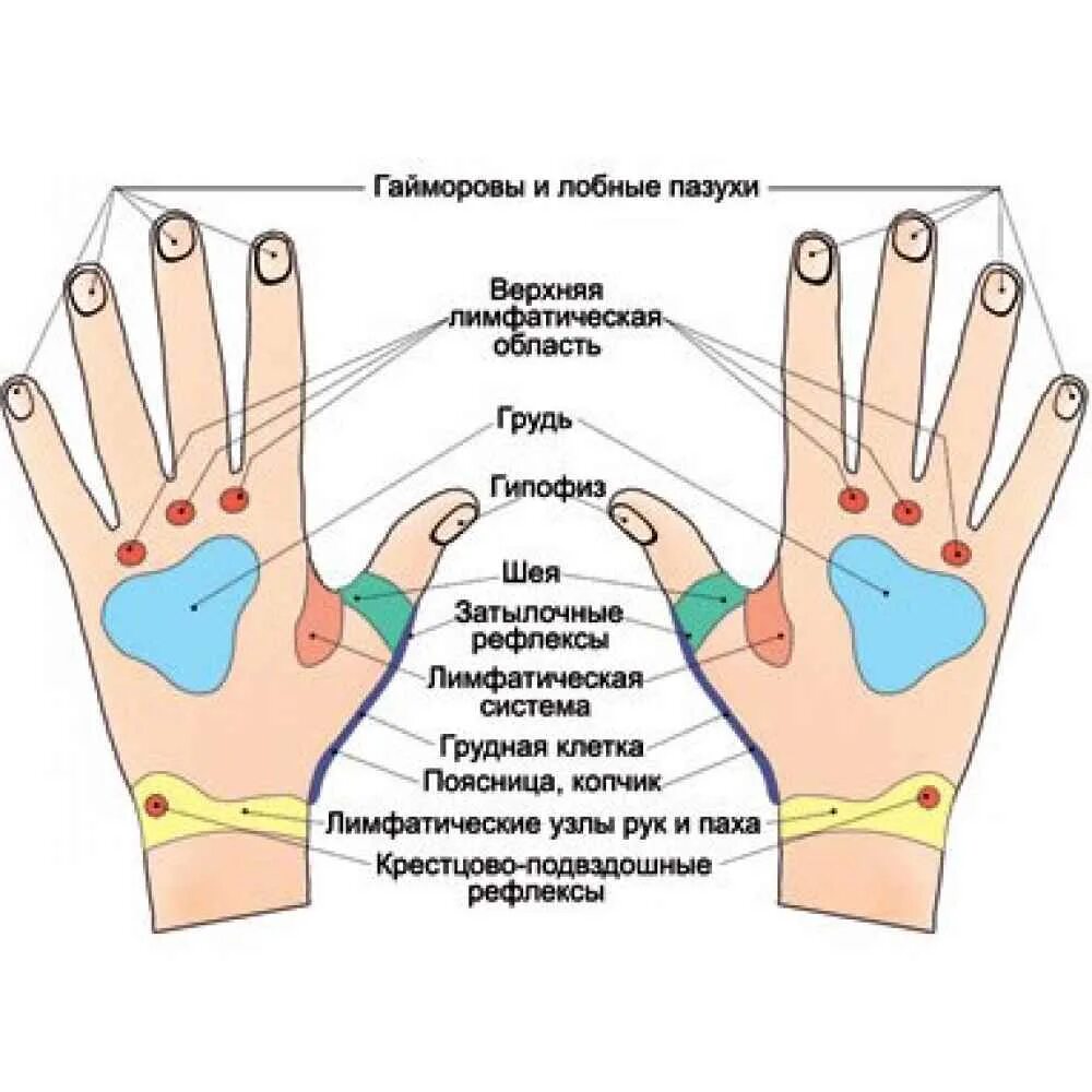 Точки на руках для массажа