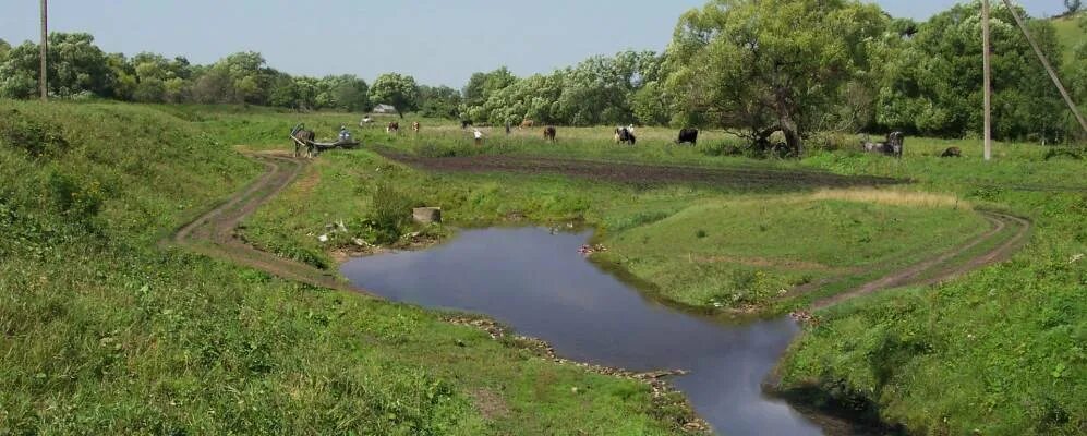 Ивановка тульская. Моховое Тульская область Куркинский район. Тульская область Куркинский район деревня Ивановка. Деревня Ракитино Тульская область. Д Ивановка Куркинский район Тульской области.