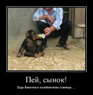 Слова пьющему сыну