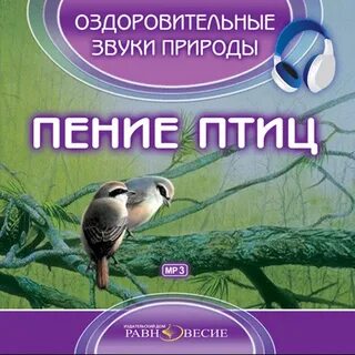 Пением птиц для сна успокаивающая музыка
