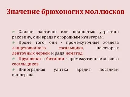 Значение брюхоногих для человека