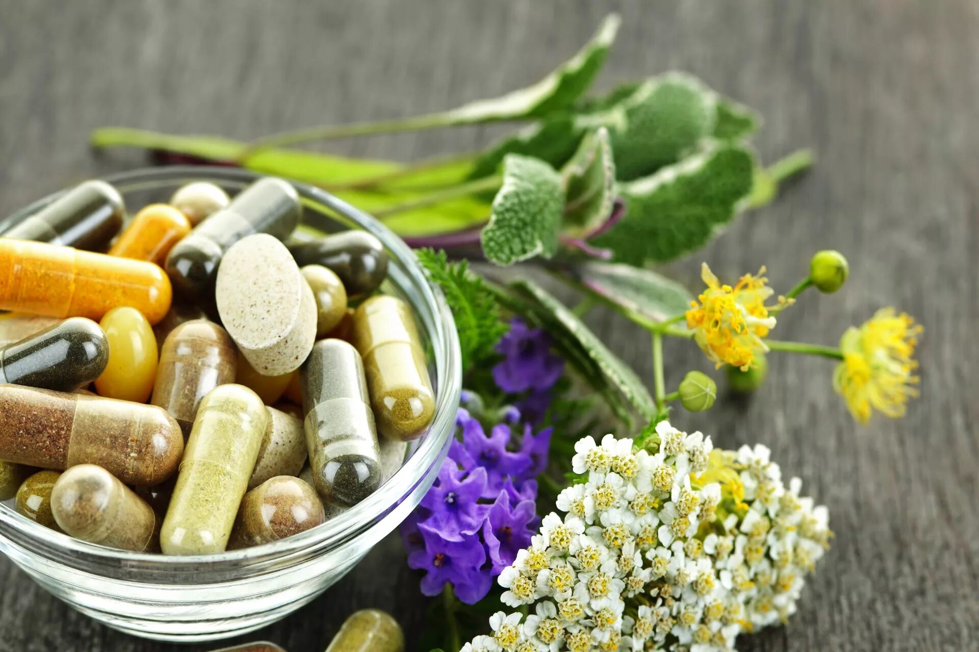 Лекарства. Лекарственные травы. Фитотерапия. Цветы и лекарства. Лекарственные растения и фитопрепараты.
