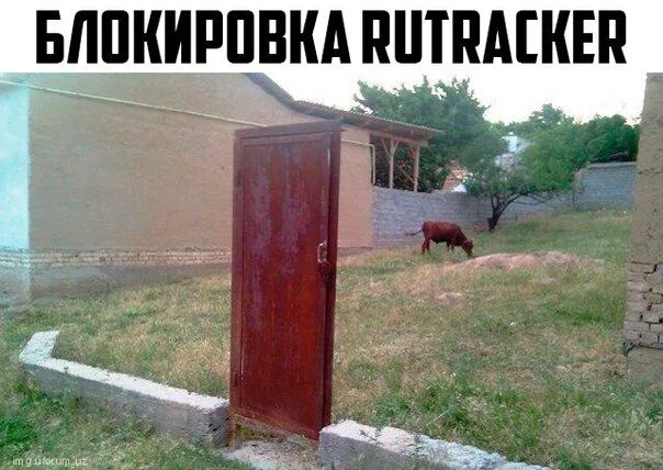 Как сбежать через калитку