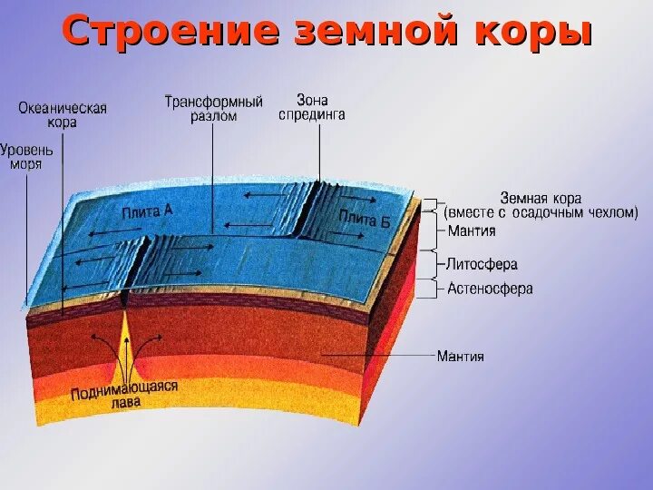 Строение океанической коры. Строение океанической земной коры. Слои материковой земной коры. Какие бывают виды земной коры