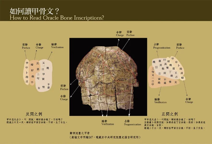 Oracle Bone script. Письменность кости оракула. Династия Шан надписи на панцирях. Гадательные кости Шан Инь. Bones script