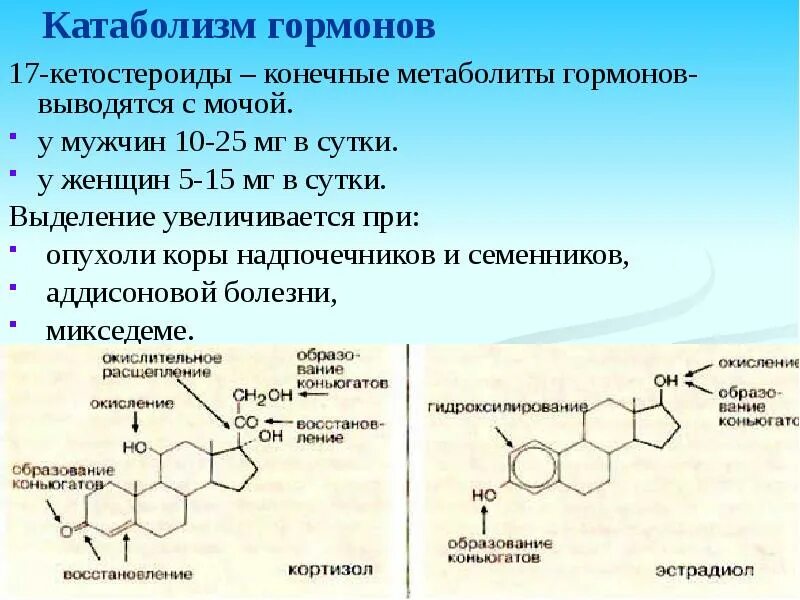 Химическая природа гормонов коры надпочечников. Синтез стероидных гормонов биохимия. Производные аминокислот гормоны биохимия. Синтез гормонов стероидной природы.