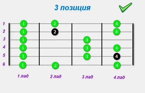 Гамма лады