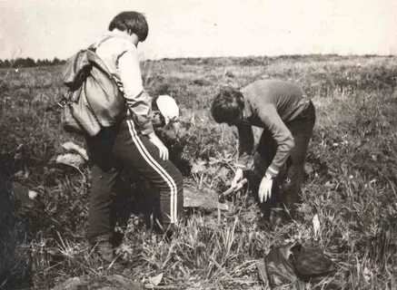 Сентябрь 1982 года
