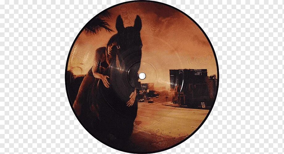 Red hot chili peppers dani. Red hot Chili Peppers Dani California. Red hot Chili Peppers Dani California 2006. RHCP Dani California. Red hot Chili Peppers Dani California (CD Single 2).