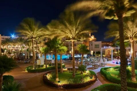Sea star hurghada