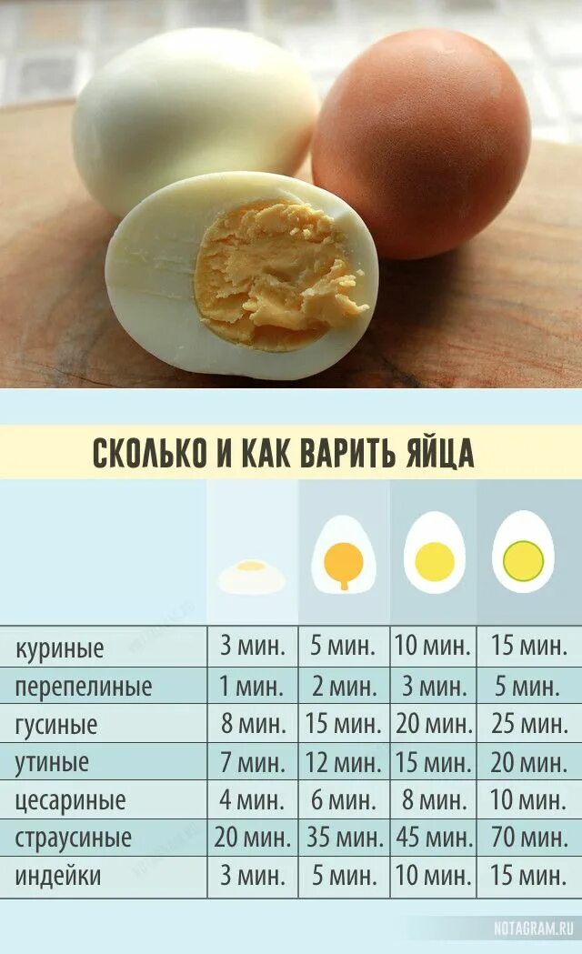 Яйца вкрутую в кипящей воде. Сколько варить яйца. Сколько нало варить чйца. Сколько нало варить яйца. Стадии вареного яйца.