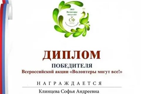 Экологический проект волонтеры могут все