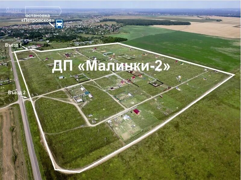 Воскресенское шаховской район. Малина антарис. Дачный поселок петровское воскресенский район. Деревня дворики ярославское шоссе. Дачный поселок ромашково нижегородская область.