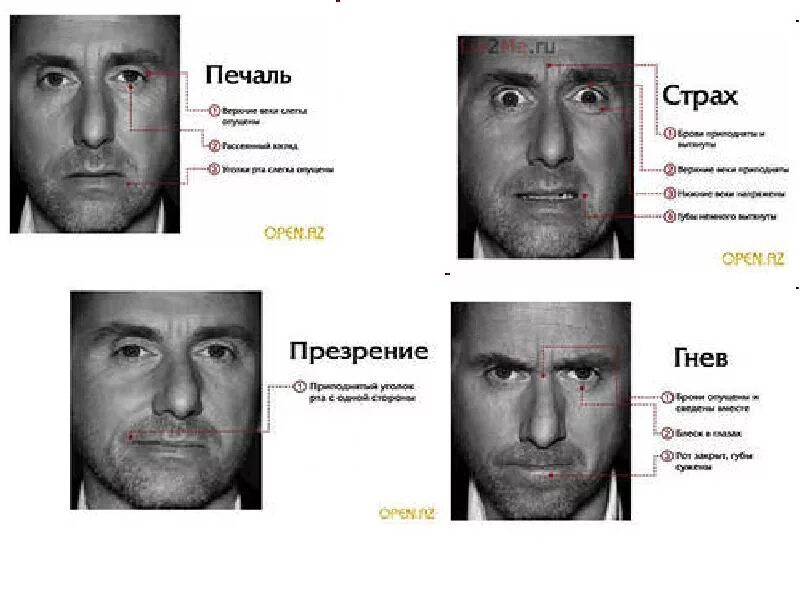 Определить характер мужчины. Черты лица и характер. Физиогномика лица. Черты лица физиогномика. Характер человека по чертам лица.