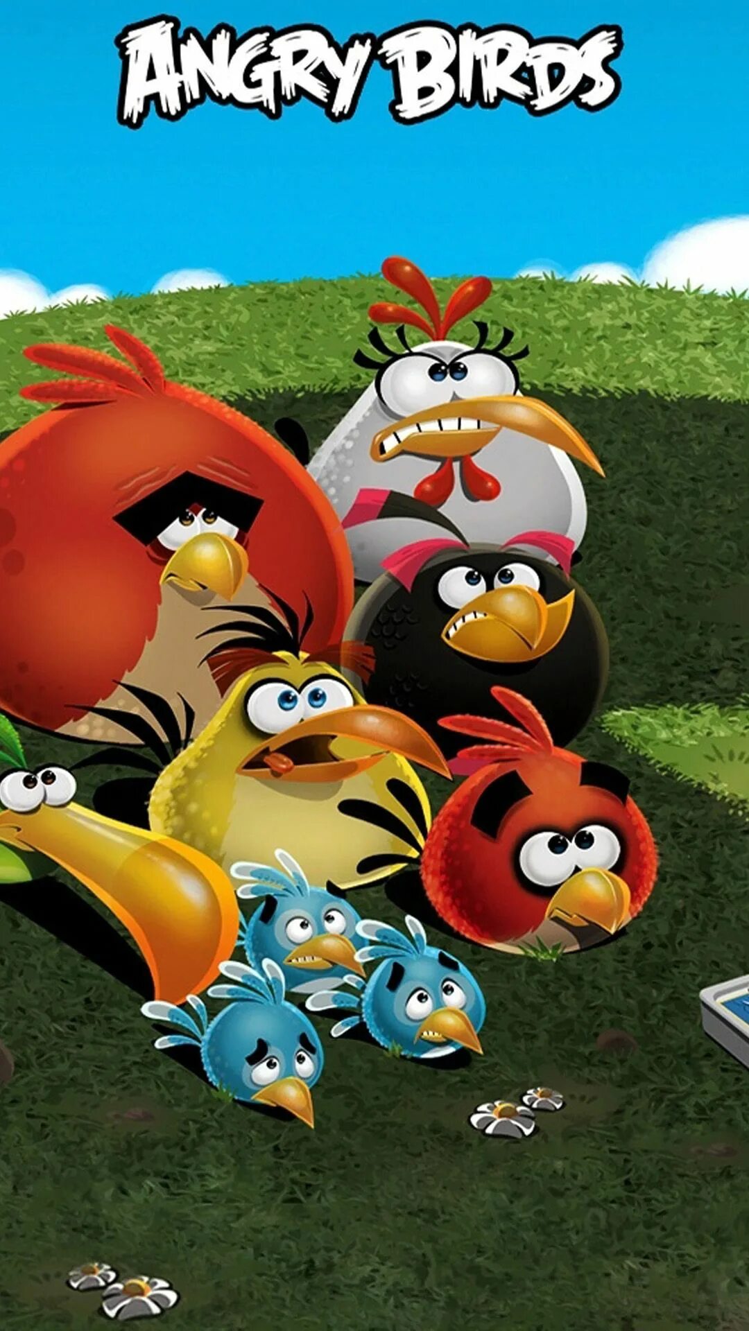 Бердс сердитые птички. Энгри бердз 2011. Angry Birds игра Постер. Энгри бердз злые птички. Птица злая из игры.